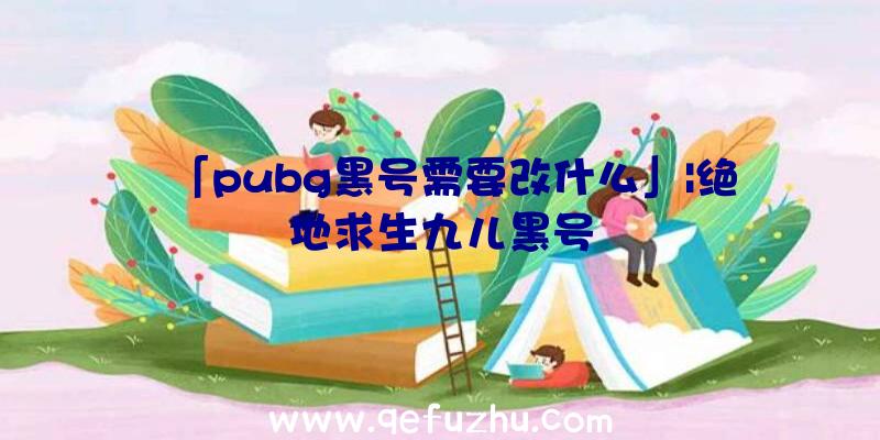 「pubg黑号需要改什么」|绝地求生九儿黑号